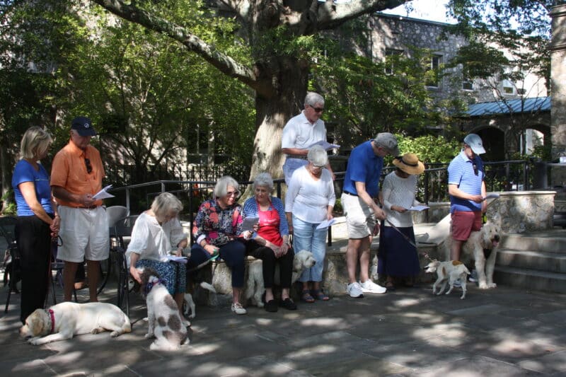 Group of people from St. Stephen's Church in Virginia with their dogs at Blessing of Animals 2023