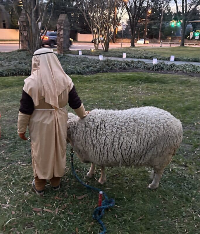 Live Nativity